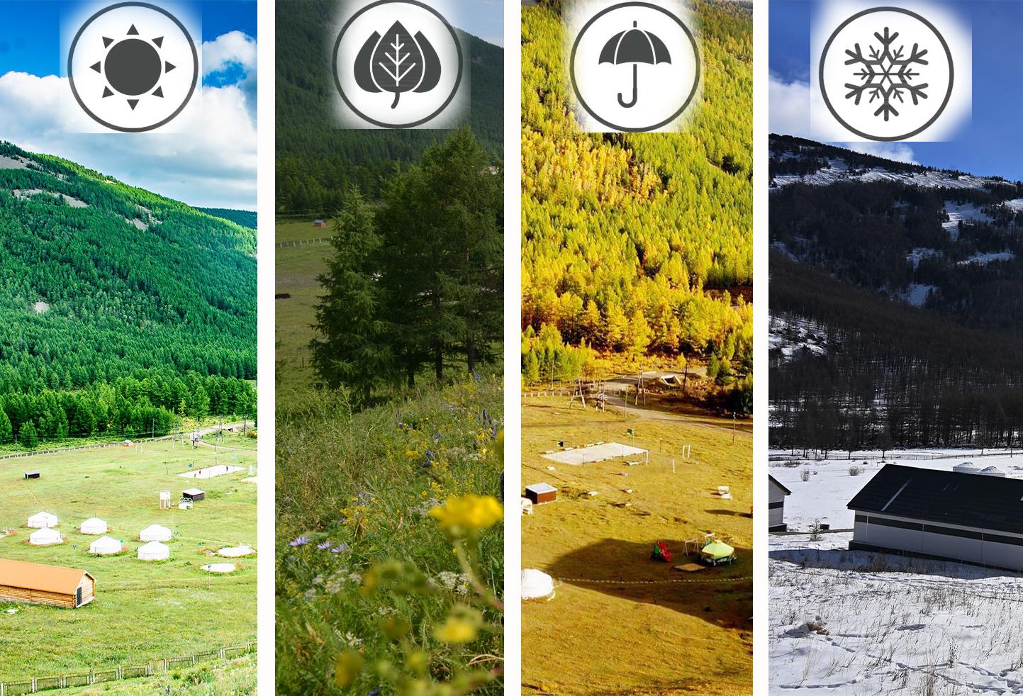 SeasonalGobiDeluxePhoto